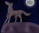 Balto