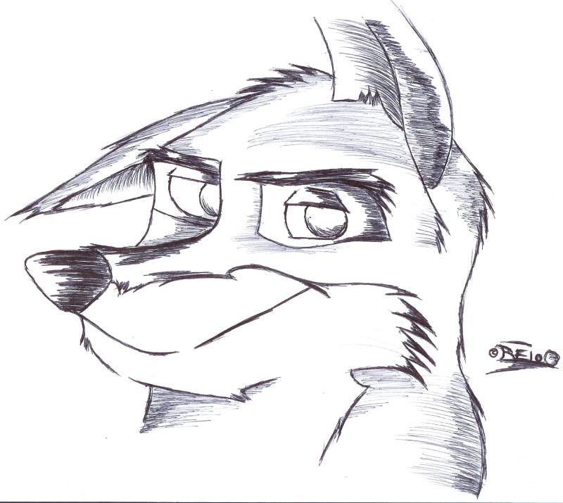 Balto