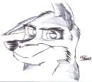 Balto