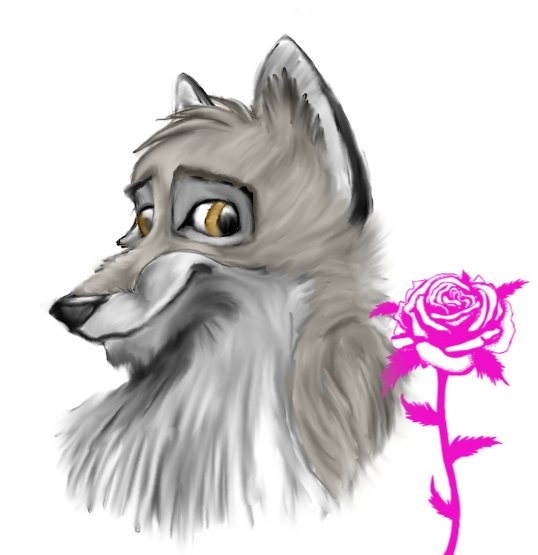 la rose