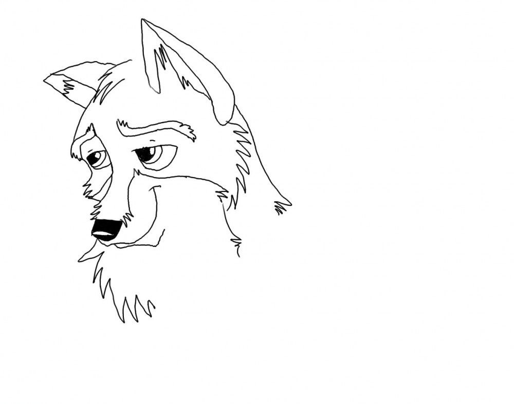 linear balto