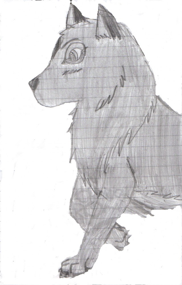 Yami