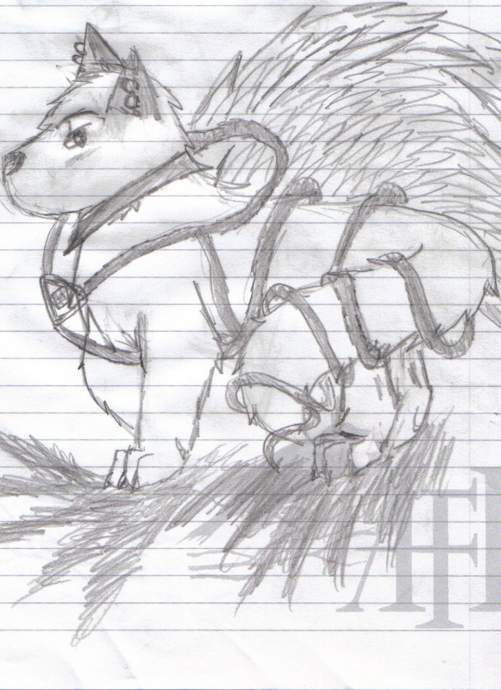 akia