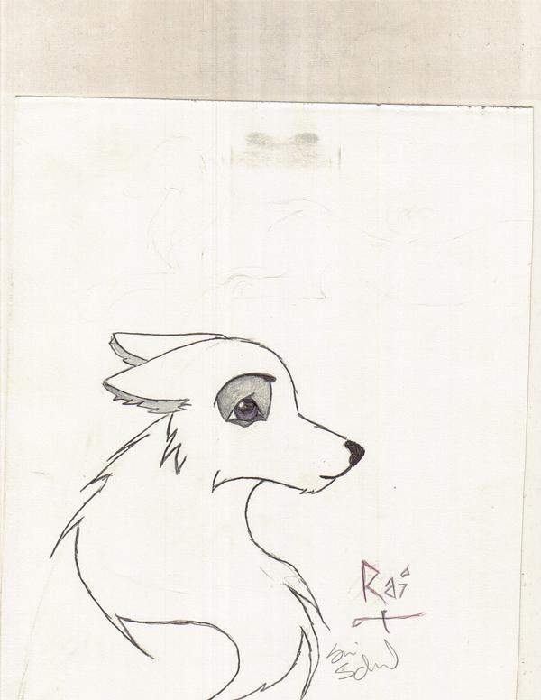 Rai.