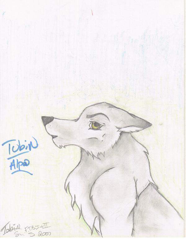a wolf named Tobin