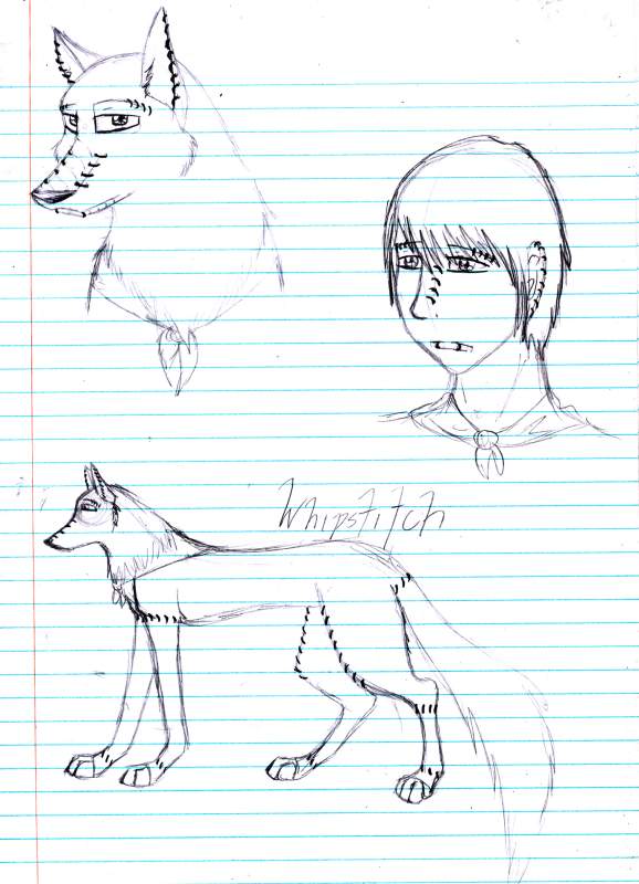 .:Whipstitch:.