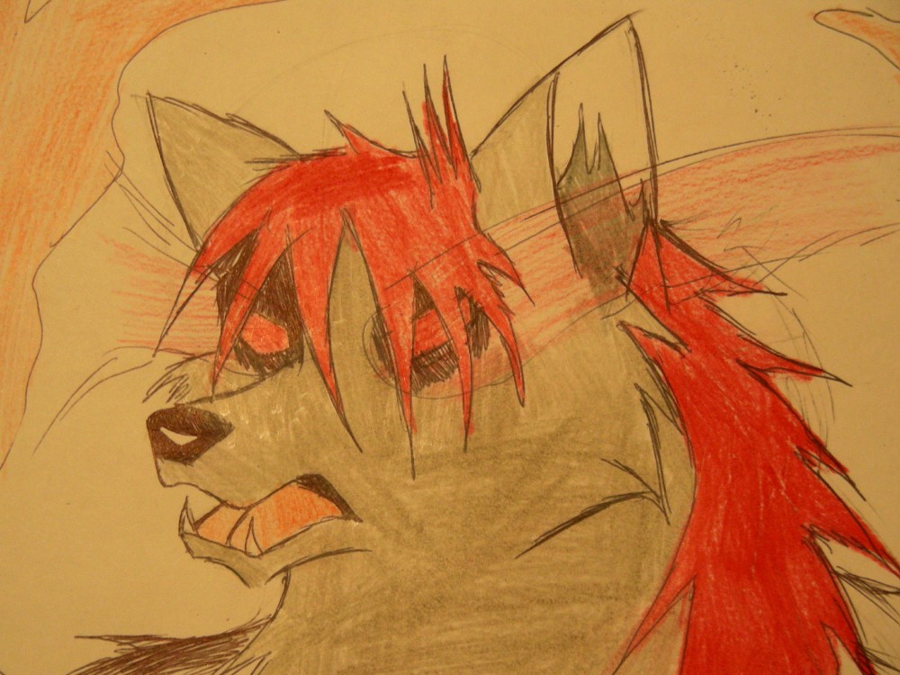 Art Request_Stephen (2008)