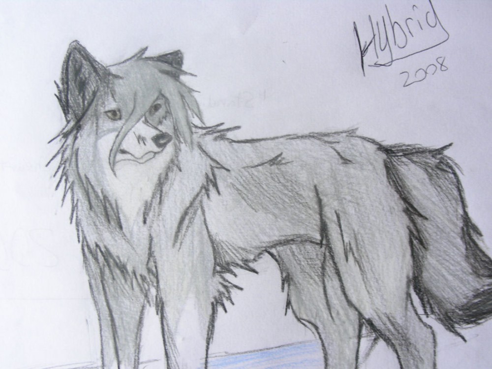 Art Request_Twilight (2008)