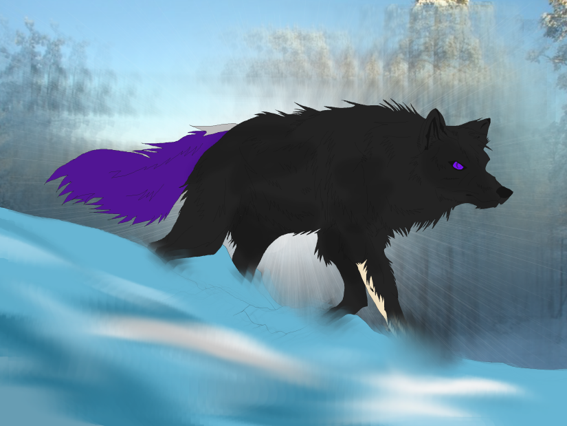 Art Request_ Wyvren (2008)