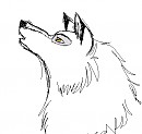 White Wolf