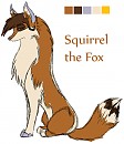 Squirrel