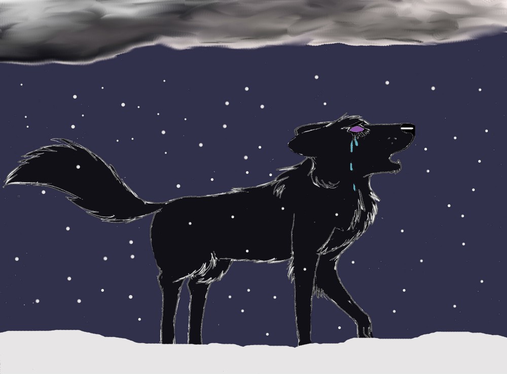 lost in a snow storm