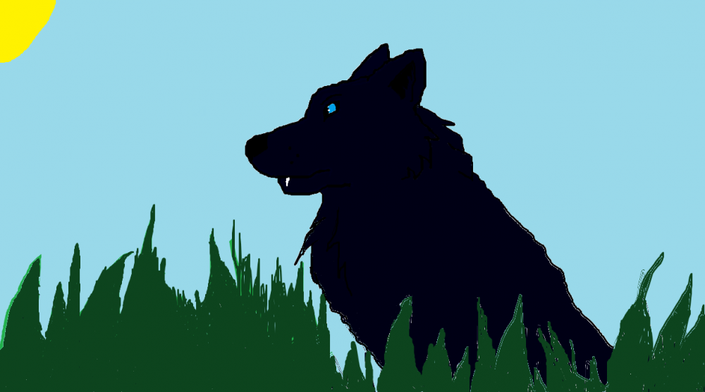 Staring in the distance