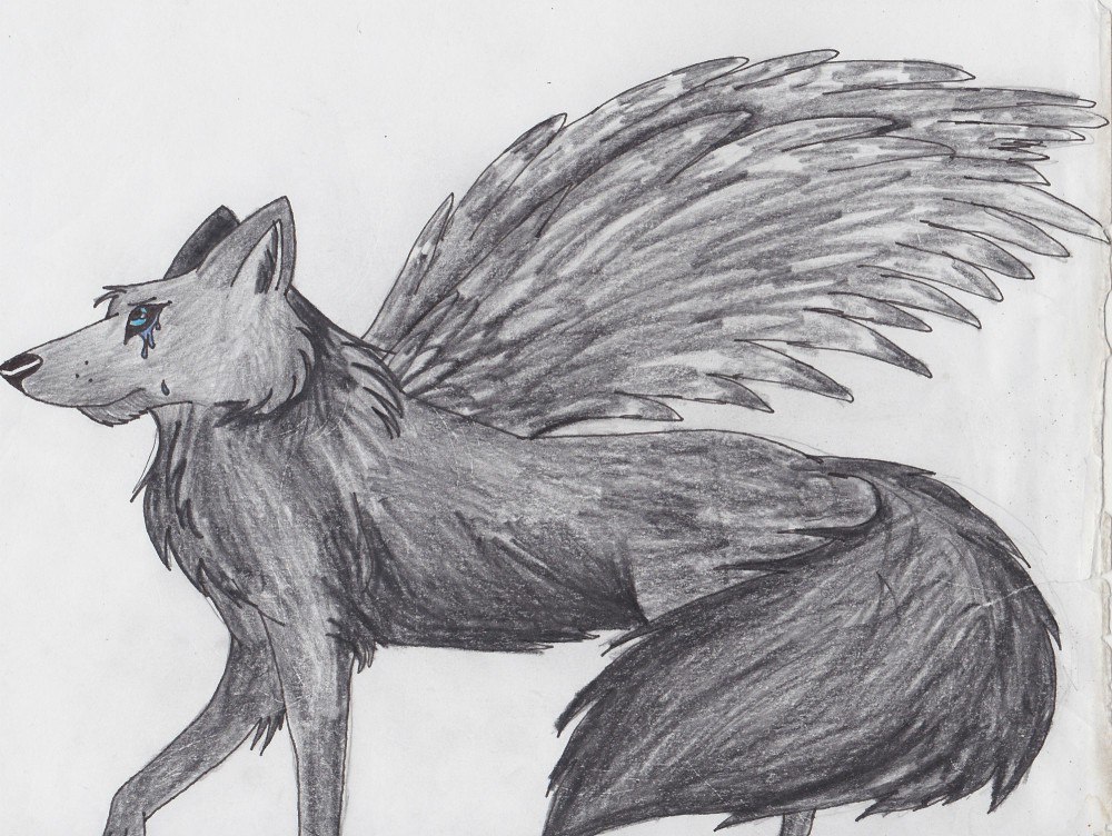 Sen the wolfdog angel