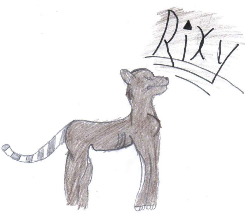	Rixy