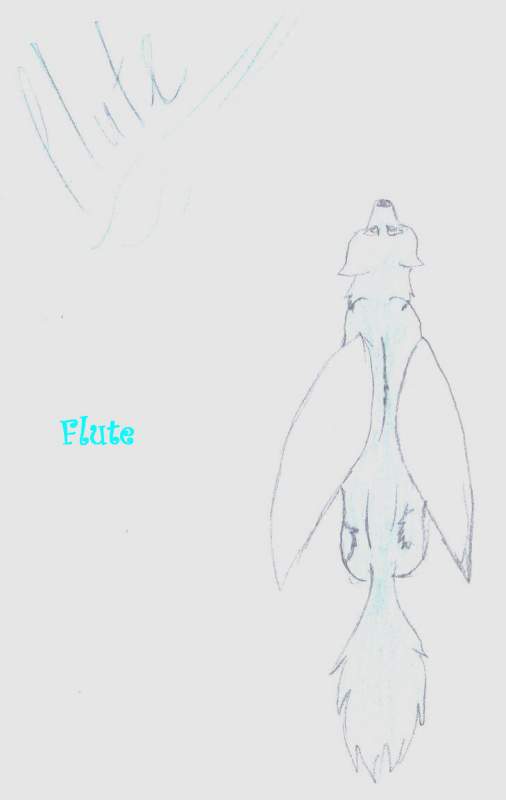Flute