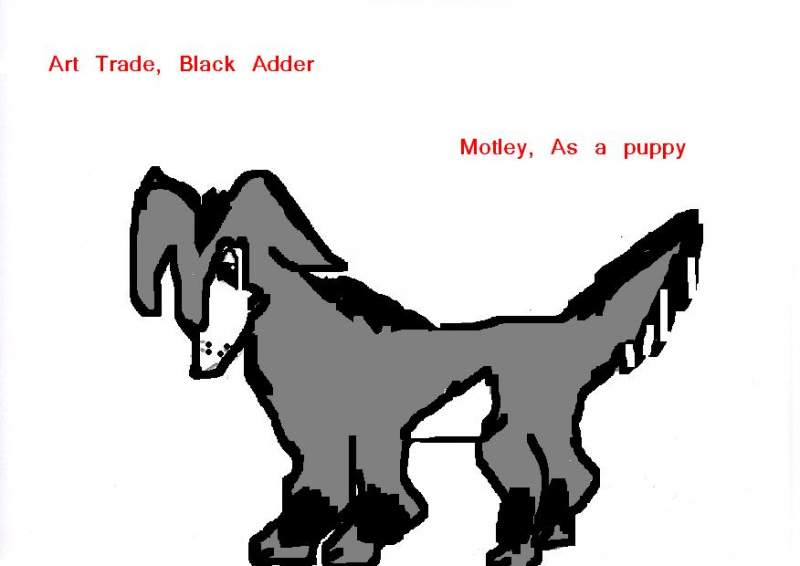Art Trade, Motley as a puupy for Black adder