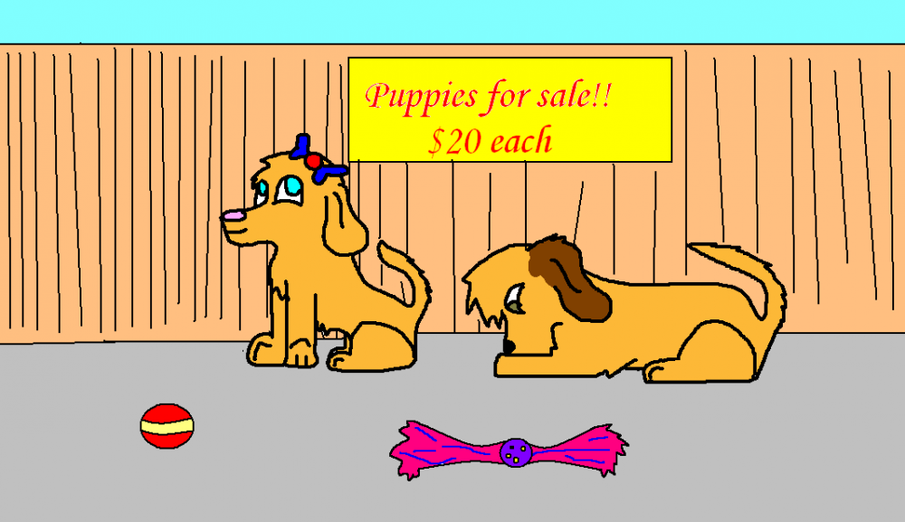 PUPPERS!