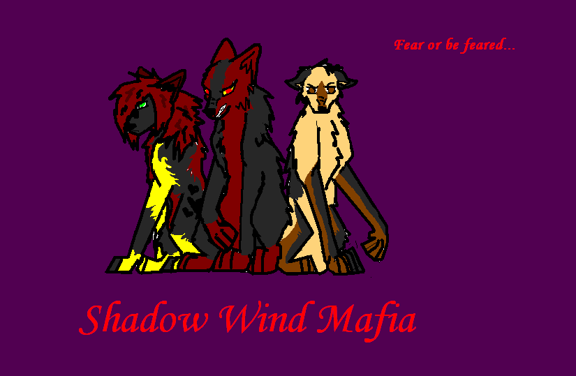 Shadow Wind Mafia 