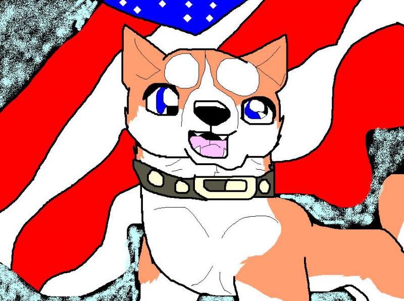 'Riki' States of America...
