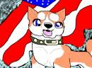 'Riki' States of America...