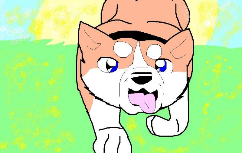 Riki Puppy