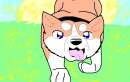 Riki Puppy