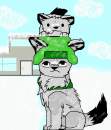 SP- Wolf Kyle