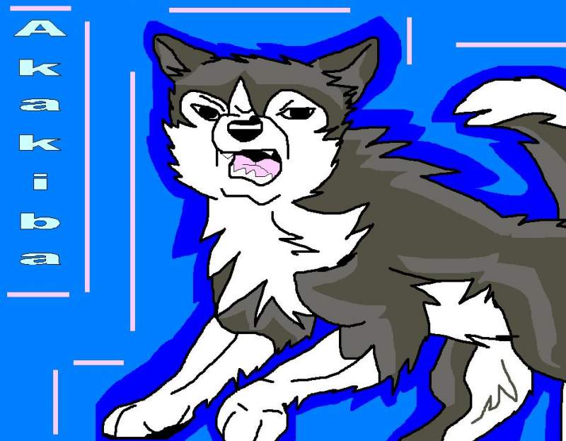 Ninja-Dog- Akakiba
