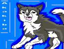 Ninja-Dog- Akakiba