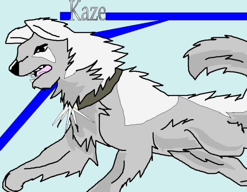Ninja-Dog-Kaze