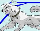 Ninja-Dog-Kaze