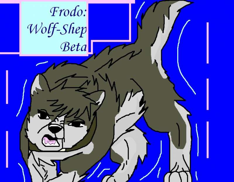 Ninja-Dog-Frodo