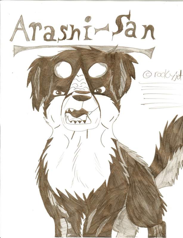 Ninja-Dog-Arashi