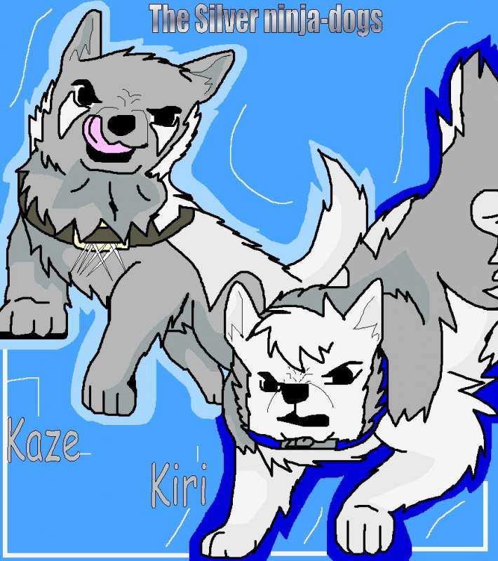 The Silver Ninja-Dogs Attack