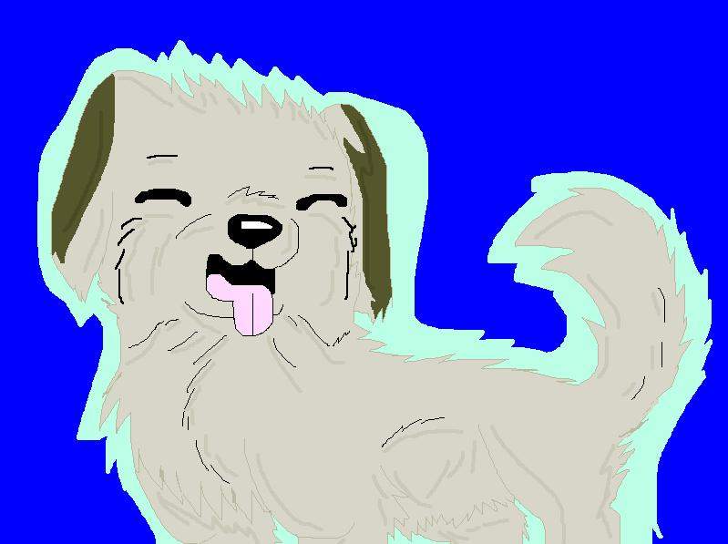 Akamaru in MSP