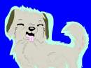Akamaru in MSP