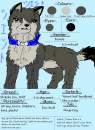 Jet's Ref Sheet
