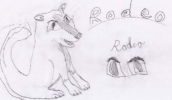 Rodeo (hurried sketch)
