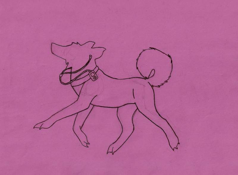 	Happy IDOG (unfinished)