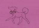 	Happy IDOG (unfinished)