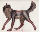 Bandach snarl