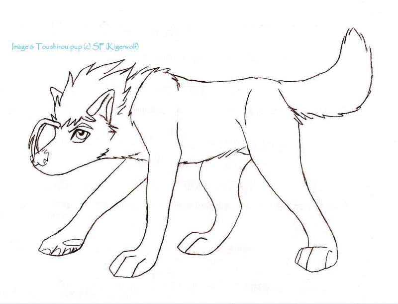 Toushirou pup