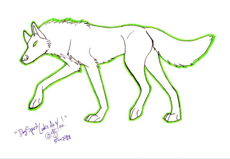 Dog Spirit: Looks at You!!