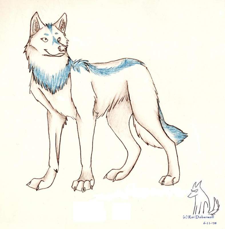 White Wolf Request