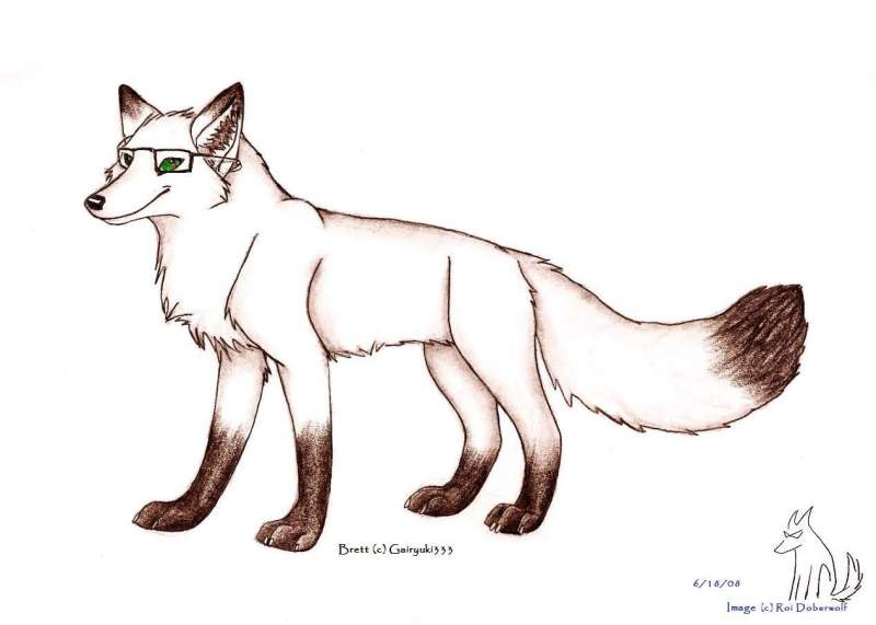 Fox Trade