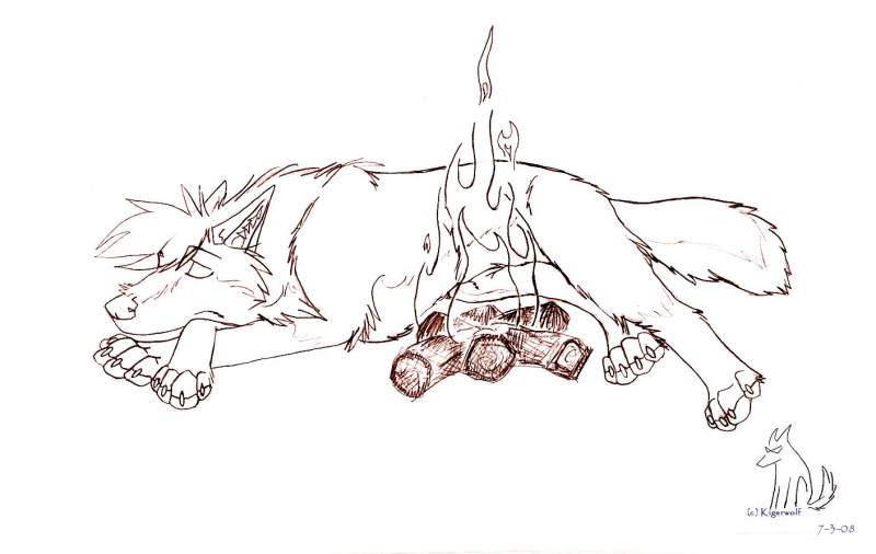 warm belly nap