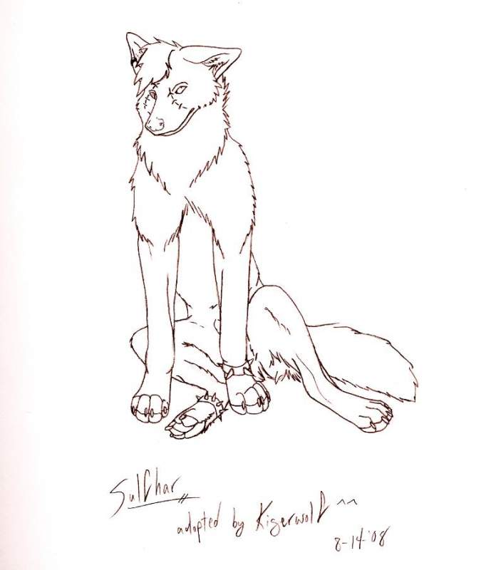 Sulfhar line-art