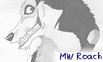 MW Roach