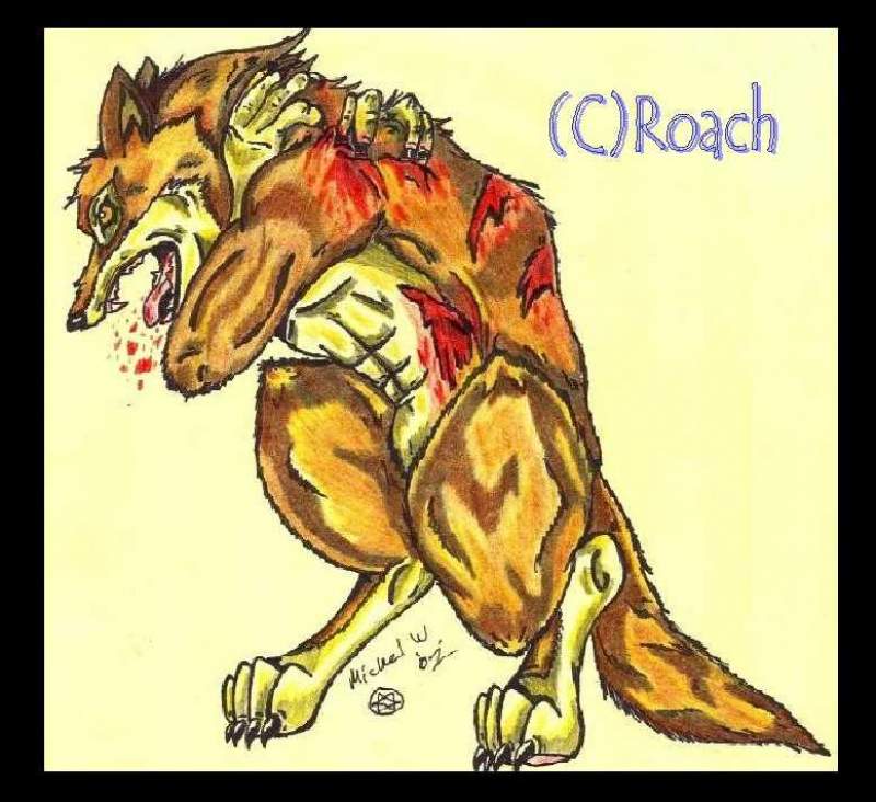 Battle with the Wolf Within